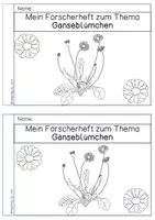 Vorschau - Arbeitsblätter - Forscherheft - Gänseblümchen - Seite 1