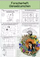 Vorschau - Arbeitsblätter - Forscherheft - Gänseblümchen - Deckblatt