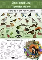 Vorschau - Stationenlernen - Übersichtsblatt - Tiere der Hecke - Deckblatt