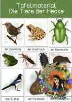 Vorschau - Poster - Hecke, Tiere -Tafelmaterial - Deckblatt