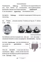 Vorschau - Stundenentwürfe - Unterrichtsreihe: Untersuchungen von Ausscheidungen - Seite 3