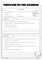 Vorschau - Arbeitsblätter - Versuche zu den Gelenken - AB & PowerPoint-Präsentation - Seite 3