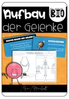 Vorschau - Arbeitsblätter - Materialpaket Gelenke - Seite 1