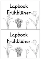 Vorschau - Bildkarten - Frühblüher Lapbook - Seite 1