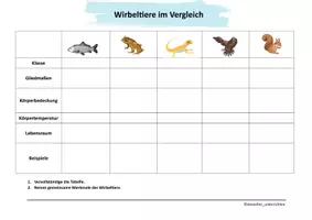 Vorschau - Arbeitsblätter - Wirbeltiere im Vergleich - Seite 2