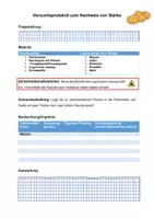 Vorschau - Arbeitsblätter - Versuchsprotokoll Stärkenachweis - Seite 2