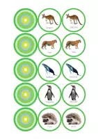 Vista previa - Juegos / Gamificación - Aventuletras. El Desafío - Complemento Fichas Animales - página 3