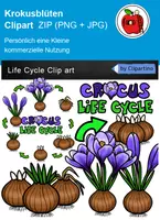 Vorschau - Mal- und Bastelvorlagen - Frühlingsblumen Lebenszyklus ClipArt Grafiken Materialpaket - Seite 1