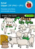 Vorschau - Experimente - Lebenszyklus von Tieren Clipart set Materialpaket, Frühling - Seite 3