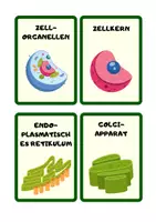 Vorschau - Bildkarten - Zelluläre Strukturen Kärtchen 🔬🃏 - Deckblatt