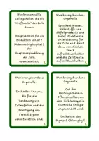 Vorschau - Bildkarten - Zelluläre Strukturen Kärtchen 🔬🃏 - Seite 3