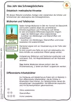 Vorschau - Arbeitsblätter - Schneeglöckchen im Jahreslauf - Tafelkarten - Arbeitsblätter - Seite 2