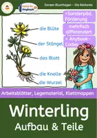 Vorschau - Arbeitsblätter - Der Winterling - Teile und Aufgaben - differenzierte Arbeitsblätter - Tafelmaterial - Klettmappen - Deckblatt