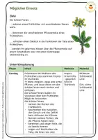 Vorschau - Arbeitsblätter - Schlüsselblume - Materialpaket Frühblüher - Seite 3