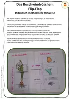 Vorschau - Arbeitsblätter - Buschwindröschen - Materialpaket Frühblüher - Seite 2