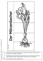 Vorschau - Arbeitsblätter - Märzenbecher - Flip-Flap - Teile der Pflanze mit differenzierten Lesetexten (auch für sonderpädagogische Förderung) - Seite 3