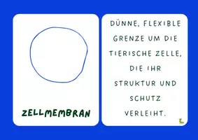 Vorschau - Bildkarten - Die Tierzelle 🐾🔬 - Seite 2