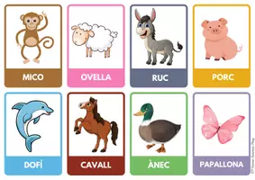 Vista previa - Refuerzo / NEE / Materiales de apoyo - Estacions d'aprenentatge. Els animals - página 3