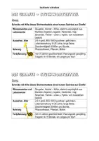Vorschau - Arbeitsblätter - Sachtext _ Stichwortzettel _ Musteraufsatz - Seite 1