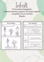 Vorschau - Arbeitsblätter - Forscherheft/ Arbeitsblätter: Die Frühblüher - Seite 2