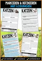 Vorschau - Arbeitsblätter - Katzen Lernwerkstatt Materialpaket - Haustier bzw. Säugetier Projekte - Seite 2
