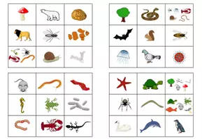 Vorschau - Spiele - Wirbeltiere und Wirbellose - Bingo - Seite 3
