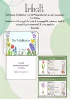 Vorschau - Mal- und Bastelvorlagen - Lapbook: Die Frühblüher - Seite 2