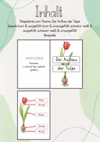 Vorschau - Mal- und Bastelvorlagen - Lapbook: Die Frühblüher - Seite 3