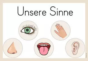 Vorschau - Präsentationen/Tafelbilder - Tafelmaterial: Unsere Sinne - Seite 1
