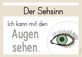 Vorschau - Präsentationen/Tafelbilder - Tafelmaterial: Unsere Sinne - Seite 2