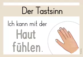 Vorschau - Präsentationen/Tafelbilder - Tafelmaterial: Unsere Sinne - Seite 3