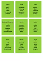 Vorschau - Spiele - Erste Hilfe Spiel: Was bin Ich? Ergänzungsset 3: Organe - Seite 1