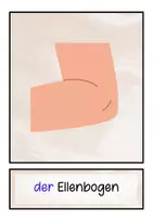 Vorschau - Bildkarten - Bildkarten Wortkarten Körperteile DaF/DaZ - Seite 3