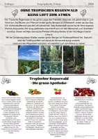 Vorschau - Arbeitsblätter - Schatzkiste Tropischer Regenwald _ AB SuS - Seite 3