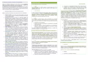 Vista previa - Para docentes: organización, planificación y formación - Oposiciones Pedagogía Terapéutica:Esquema tema 2 - página 3