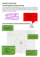 Vorschau - Arbeitsblätter - Eine Mikroskopische Zeichnung anfertigen - Seite 1