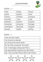 Vorschau - Arbeitsblätter - Lese-Hausaufgabe Pf/pf (passend zu TINTO) - Seite 2