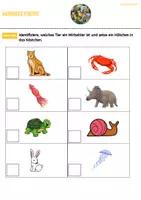 Vorschau - Arbeitsblätter - Wirbeltiere und wirbellose Tiere (PDF + Word) - Seite 1