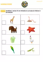 Vorschau - Arbeitsblätter - Wirbeltiere und wirbellose Tiere (PDF + Word) - Seite 2