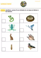 Vorschau - Arbeitsblätter - Wirbeltiere und wirbellose Tiere (PDF + Word) - Seite 3