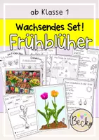 Vorschau - Arbeitsblätter - Frühblüher: wachsendes Set ab Klasse 1 (Tulpe, Wiese) - Deckblatt