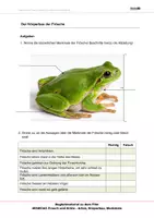 Vorschau - Arbeitsblätter - Frosch und Kröte - Arbeitsblätter - Deckblatt
