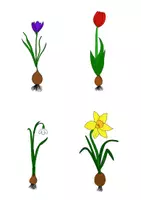 Vorschau - Arbeitsblätter - Frühblüher - alle Grafiken & Tafelbilder zum Thema - Deckblatt