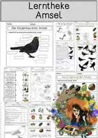 Vorschau - Arbeitsblätter - Amsel - Lerntheke, Sammlung von Arbeitsblätter - Deckblatt
