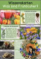 Vorschau - Stationenlernen - Wissenskarten - Tiere und Pflanzen im Frühling - Deckblatt