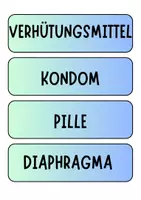 Vorschau - Poster - Verhütung - Tafelkarten mit Begriffen - Deckblatt