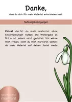 Vorschau - Arbeitsblätter - Wissenskartei / Lese- und Abschreibkartei Frühblüher - Seite 2