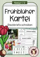 Vorschau - Unterrichtsreihen - Wissenskartei & Steckbriefe Frühblüher – (Klasse 1/2) 🌷 - Deckblatt