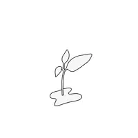 Vorschau - Bildkarten - Cliparts: Growth Mindset - Pflanzensymbole - Seite 3
