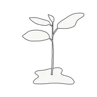 Vorschau - Bildkarten - Cliparts: Growth Mindset - Pflanzensymbole - Seite 1